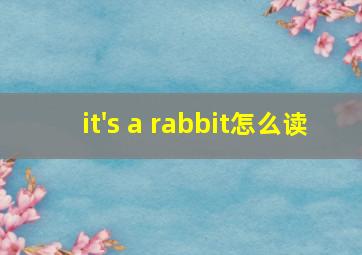 it's a rabbit怎么读